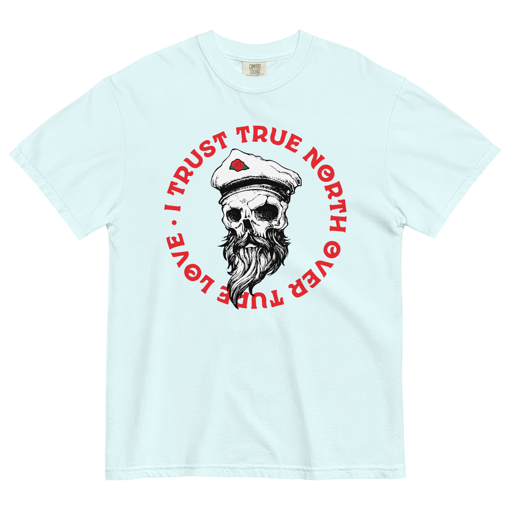 TRUE NORTH